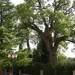 San Donino