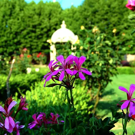 Hotel San Donino Città di Castello