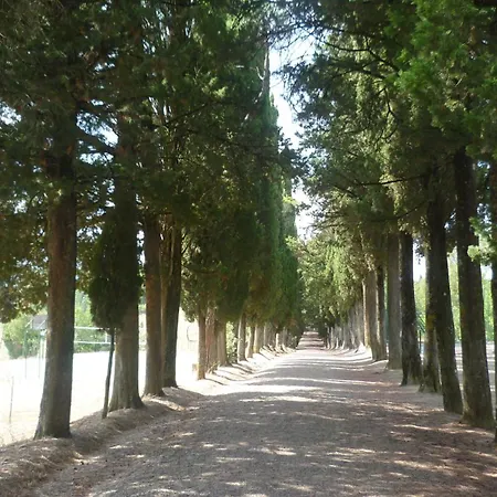 San Donino