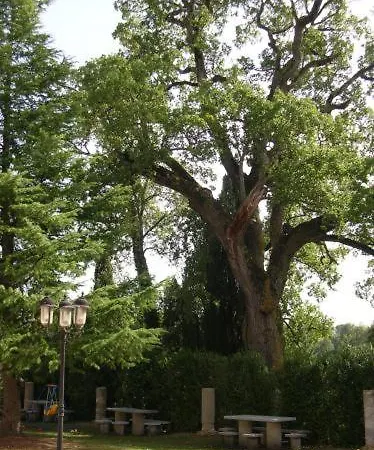 San Donino